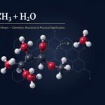 HCOOCH CH2 H2O
